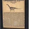 Dinosaur Tail, 15 feet long complete, Camarasaurus Grandis, Wyoming, RARE