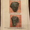 82.50kg Vietnam Can Ty Iron Nickel Meteorite Rare Find After The War 42.50cm
